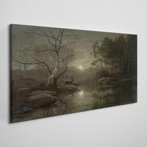 Obraz na plátně Obraz na plátně Měsíc strom přírodní řeka