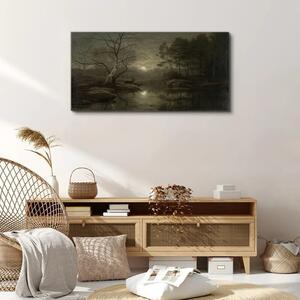 Obraz na plátně Obraz na plátně Měsíc strom přírodní řeka