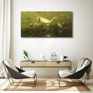 Obraz na plátně Obraz na plátně Zvířata kachna tráva příroda
