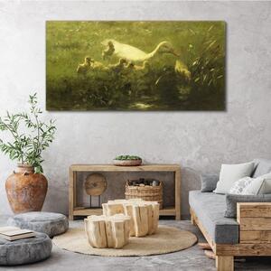 Obraz na plátně Obraz na plátně Zvířata kachna tráva příroda
