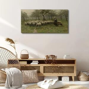 Obraz na plátně Obraz na plátně Rustikální strom ovce ovce
