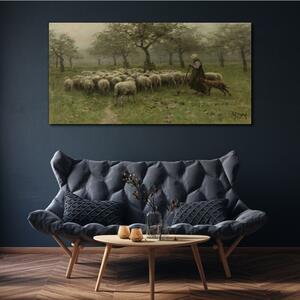 Obraz na plátně Obraz na plátně Rustikální strom ovce ovce