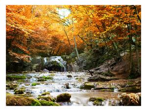 Fototapeta - Podzim - vodopád 200x154 + zdarma lepidlo
