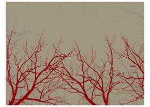 Fototapeta - Červené větve II 200x154 + zdarma lepidlo