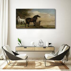 Obraz na plátně Obraz na plátně Krajina mraky nebe koně