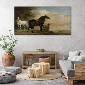 Obraz na plátně Obraz na plátně Krajina mraky nebe koně