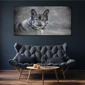 Obraz na plátně Obraz na plátně Zimní sníh zvířecí vlka pes