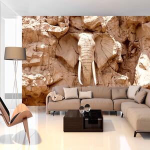 Samolepící fototapeta - Kamenný slon (Jižní Afrika) 147x105
