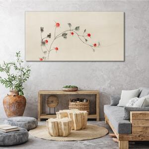 Obraz na plátně Obraz na plátně Moderní větve květin