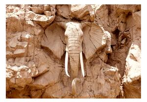 Fototapeta - Kamenný slon (Jižní Afrika) 200x140 + zdarma lepidlo