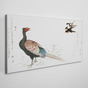 Obraz na plátně Obraz na plátně Asie zvířecí ptáci