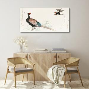 Obraz na plátně Obraz na plátně Asie zvířecí ptáci