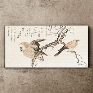Obraz na plátně Obraz na plátně Asie větve zvířat ptáků