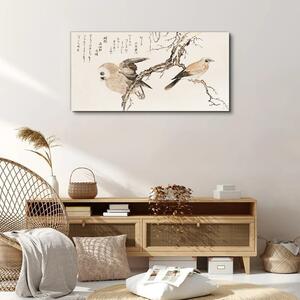 Obraz na plátně Obraz na plátně Asie větve zvířat ptáků