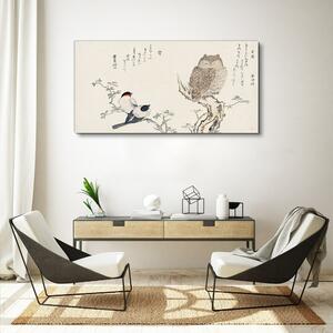 Obraz na plátně Obraz na plátně Větev zvířata ptáků sova
