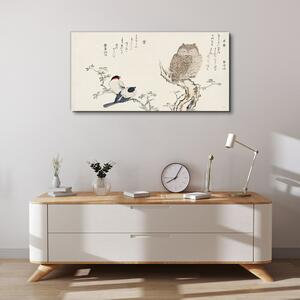 Obraz na plátně Obraz na plátně Větev zvířata ptáků sova