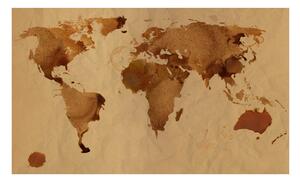 Fototapeta - Čajová mapa světa II 450x270 + zdarma lepidlo
