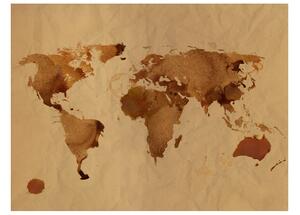 Fototapeta - Čajová mapa světa I 250x193 + zdarma lepidlo