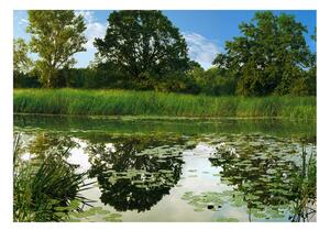 Samolepící fototapeta - Kouzelný rybník 245x175