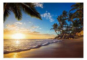 Samolepící fototapeta - Tropická pláž 98x70