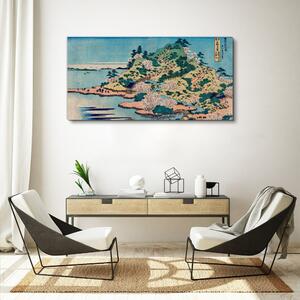 Obraz na plátně Obraz na plátně Asie Island mořská horská řeka