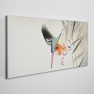 Obraz na plátně Obraz na plátně Zvířecí pták ohara kowon