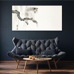Obraz na plátně Obraz na plátně Větev zvířat opice Asijské
