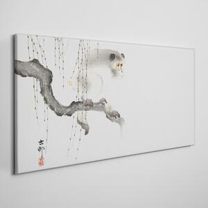 Obraz na plátně Obraz na plátně Větev zvířat opice Asijské