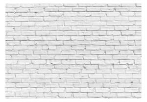 Fototapeta - Bílý kámen 250x175 + zdarma lepidlo