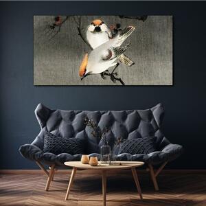 Obraz na plátně Obraz na plátně Asie pobočky zvířat ptáků