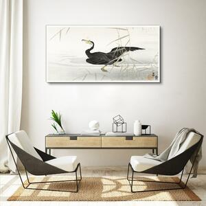 Obraz na plátně Obraz na plátně Asie Lake Animal Bird