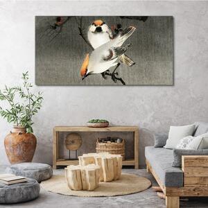 Obraz na plátně Obraz na plátně Asie pobočky zvířat ptáků