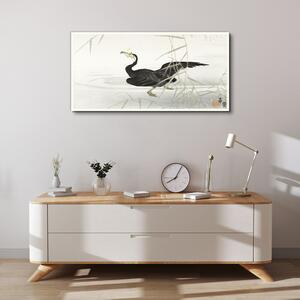 Obraz na plátně Obraz na plátně Asie Lake Animal Bird