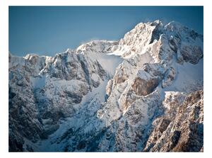 Fototapeta - Hory- zima v Alpách 250x193 + zdarma lepidlo