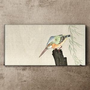 Obraz na plátně Obraz na plátně Zvířata ptáci ledňáček