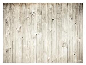 Fototapeta - Dřevěný plot 200x154