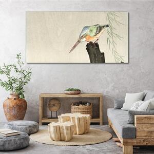 Obraz na plátně Obraz na plátně Zvířata ptáci ledňáček