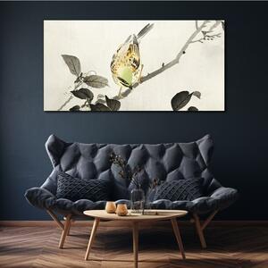 Obraz na plátně Obraz na plátně Větev živočišného ptáka