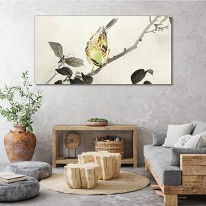 Obraz na plátně Obraz na plátně Větev živočišného ptáka