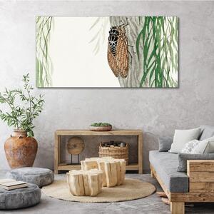 Obraz na plátně Obraz na plátně Strom asijských hmyze listy