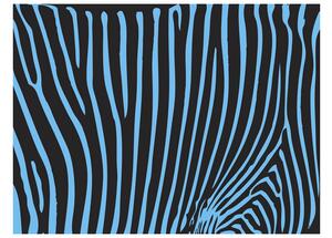 Fototapeta - Zebra vzor (tyrkysová) 200x154