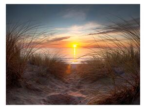 Fototapeta - Západ slunce přes Atlantský oceán 200x154 + zdarma lepidlo