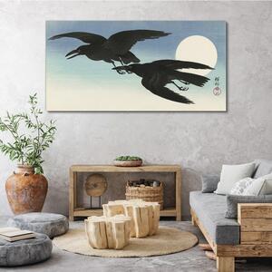 Obraz na plátně Obraz na plátně Zvířecí pták krádeže obloha