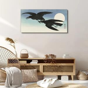 Obraz na plátně Obraz na plátně Zvířecí pták krádeže obloha
