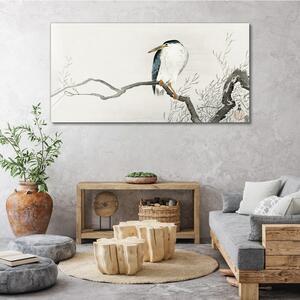 Obraz na plátně Obraz na plátně Pobočky zvířat ptáků