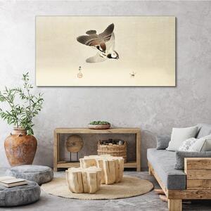 Obraz na plátně Obraz na plátně Zvířata Birds Sparrows