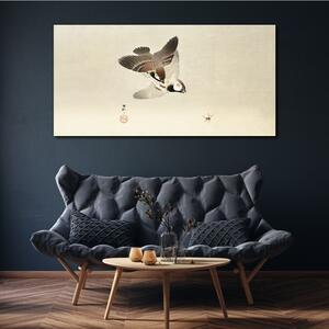Obraz na plátně Obraz na plátně Zvířata Birds Sparrows