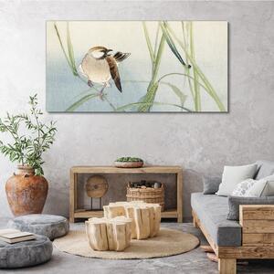 Obraz na plátně Obraz na plátně Zvířecí pták vrabec