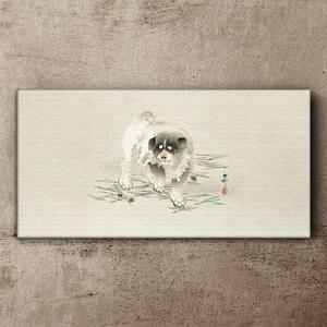 Obraz na plátně Obraz na plátně Moderní zvířecí pes