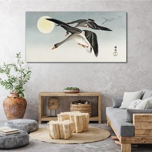 Obraz na plátně Obraz na plátně Zvířata ptáci Sky Sun